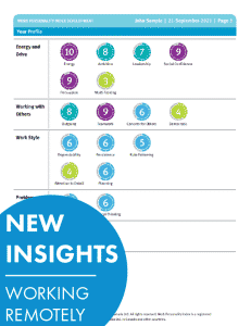 Work personality Index New Insights Working Remotely