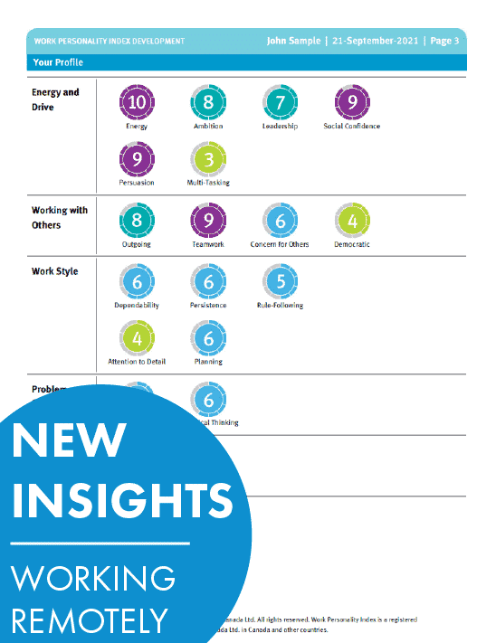 Work personality Index Development Report Working Remotely