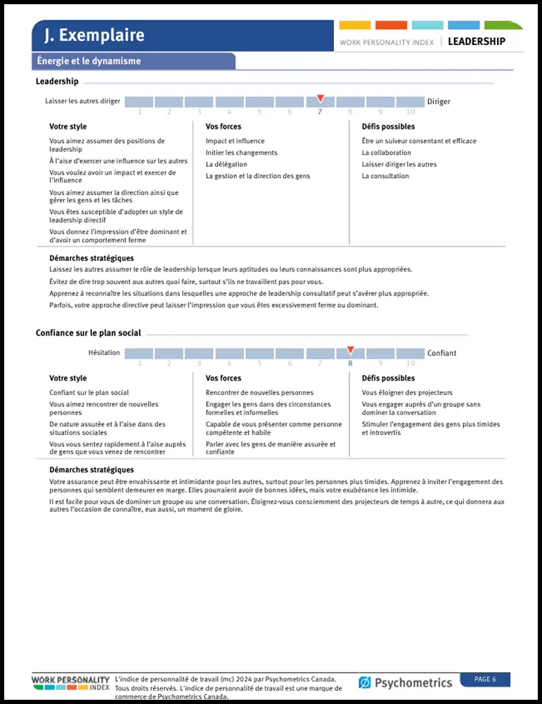 L’Indice de personnalité de travail Rapport de leadership