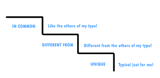 mbti step ii and leadership development