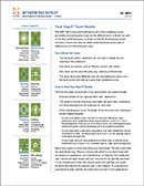 mbti step ii interpretive report