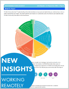 Work Personality Index Report Remote Work