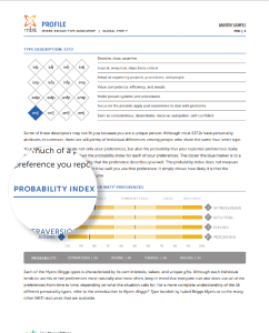 MBTI Global Probability Index