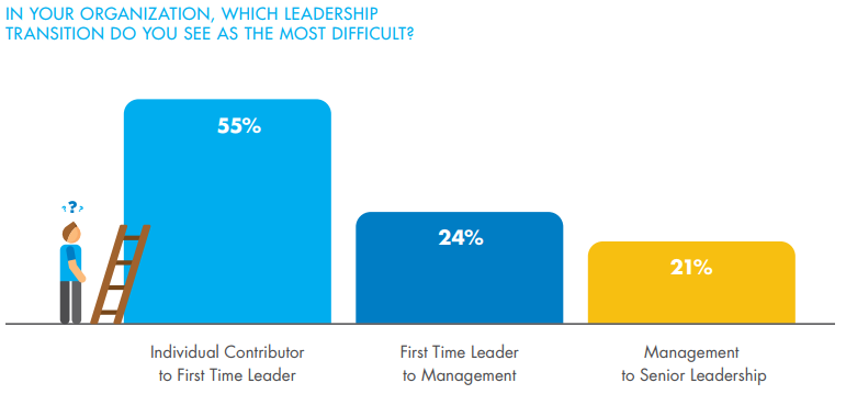 In your organization which leadership transition do you see as most difficult