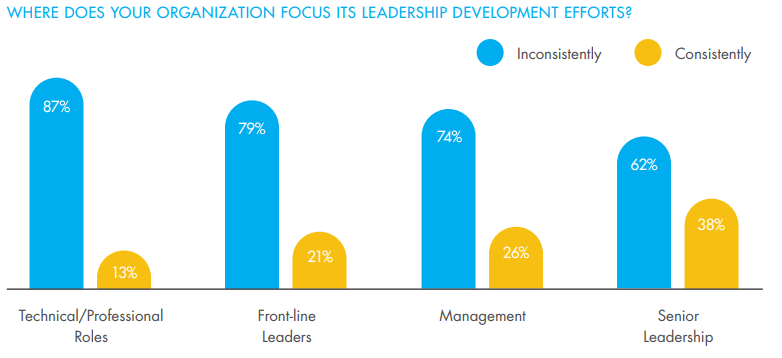 where does your organization focus its leadership development efforts