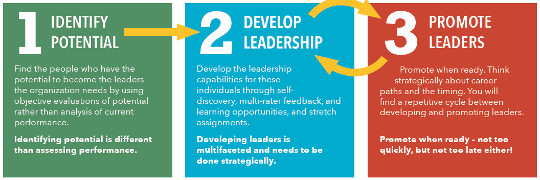 Identify potential develop leadership promote leaders