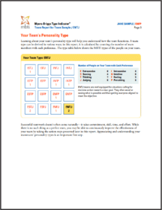 MBTI Team Report