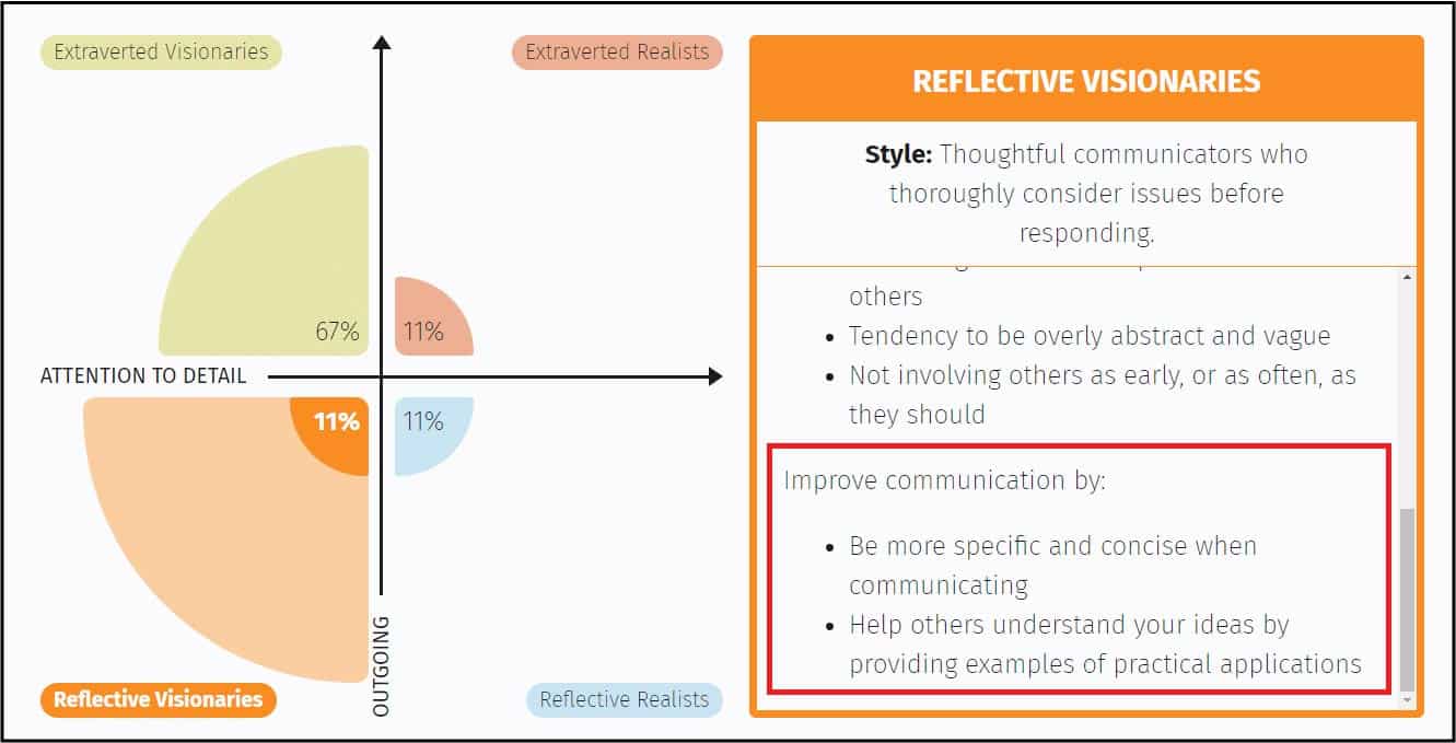 reflective visionaries description