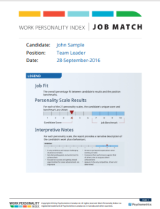 Work personality index Job Match assessment report cover